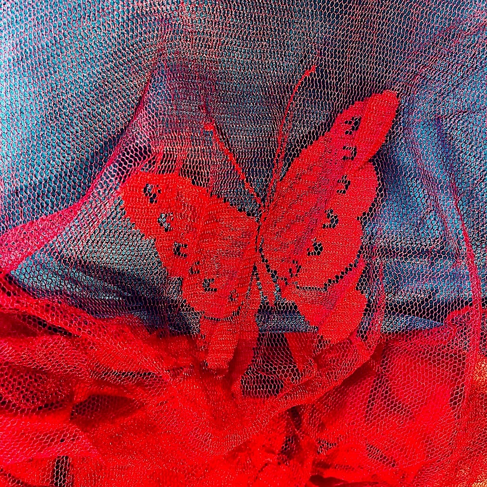 Butterfly blouse red lace overlay vtg France Armand Thiery designer Rare NWOT